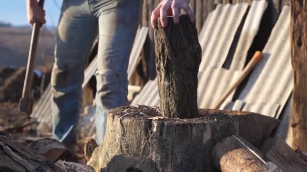 オーブン用の薪 木の準備だ 木を切る 家庭用 斧で切る — ストック動画