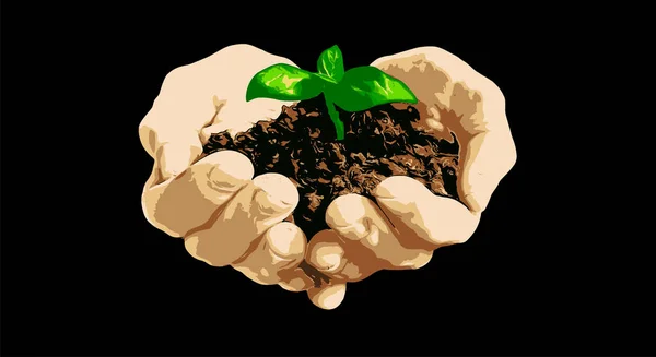 手に地面を持つ若い植物のイラスト — ストックベクタ