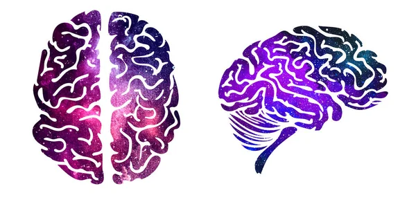 白に隔離された脳のベクトル水彩図 — ストックベクタ