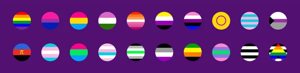 Flaggen Von Lgbt Schwule Lesben Bisexuelle Transgender Und Queer Pride — Stockvektor