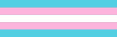 Vektör içinde transseksüel LGBTQ gurur bayrağı