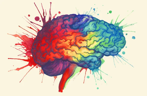 Watercolor Brains Creativity Concept Illustration — Stock Photo, Image