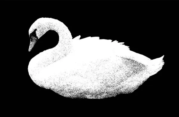 Pássaro Cisne Branco Fundo Escuro Vetor Realista —  Vetores de Stock