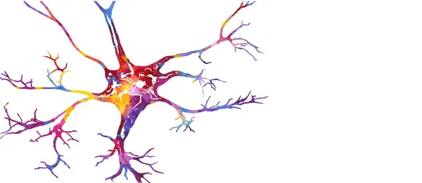 Neuron Kleurrijke Aquarel Vector Illustr — Stockvector
