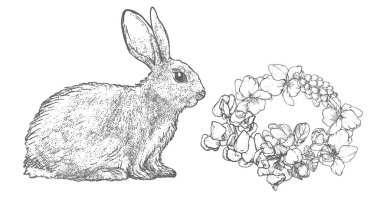 Grafiksel yay seti beyaz arkaplanda izole edildi