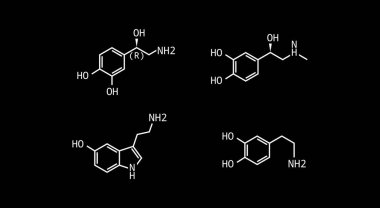 Nörotransmitter vektör çizimi izole edildi
