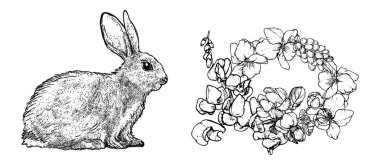 Grafiksel yay seti beyaz arkaplanda izole edildi