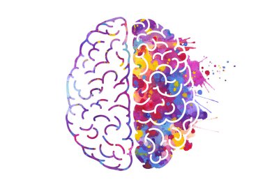 Watercolor brain, left and right hemispheres clipart