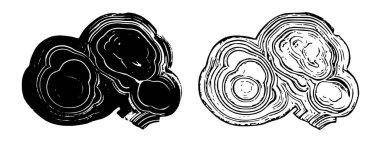 Soyut Siyah ve Beyaz Jeot Dilimleri Konsantrik Dairesel Katmanları ve Organik Örnekleri Gösteren Çizimler Mineral ve Kaya oluşumlarından esinlenilmiştir