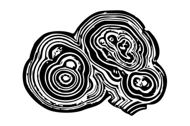 Soyut Siyah ve Beyaz Jeot Dilimleri Konsantrik Dairesel Katmanları ve Organik Örnekleri Gösteren Çizimler Mineral ve Kaya oluşumlarından esinlenilmiştir