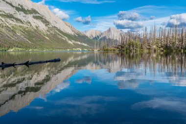 Medicine Lake, Jasper Ulusal Parkı, Alberta 'daki Excelsior Ormanı Yangınından yanmış ağaçların yansıması.