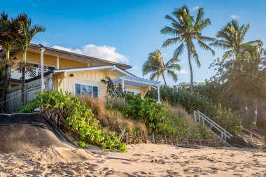 Sunset Beach, Hawaii / ABD 22 Aralık 2022: Sunset Beach, Oahu, Hawaii 'deki plaj erozyonunu önlemek için canlı bir sahil şeridinde bitki örtüsü kullanımı
