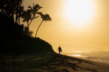 Silhouette of a surfer walking on Sunset Beach, Hawaii with a surfboard at sunset 