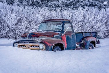 A vintage truck covered in rime frost and buried in snow on the Saskatchewan countryside