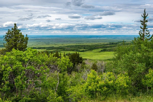 Вид Lookout Point Cypress Hills Interprovincial Park Saskatchewan — стокове фото