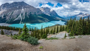 The turquoise waters of Peyto Lake in Jasper National Park, with mountains in the background  clipart
