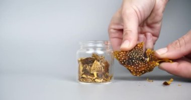 mikrodoz psikedelik mantar, el ezmesi kurutulmuş sinek ezmesi yüksek kalite 4K kuruyan sinek sineği görüntüsü. 