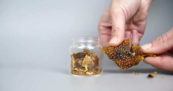 Microdosagem Cogumelo Psicodélico Mão Esmagamento Mosca Seca Agaric Imagens Alta — Vídeo de Stock