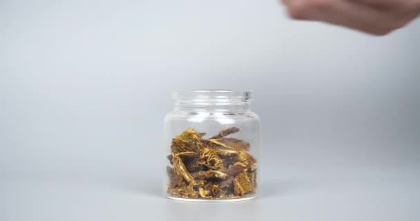 Getrocknete Fliegenpilze Einem Glas Für Die Mikrodosierung Verwenden Nahaufnahme Hack — Stockvideo