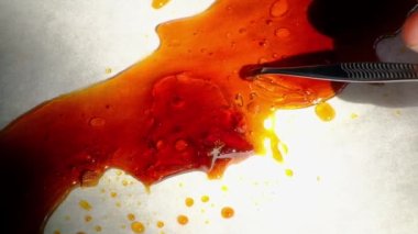  Yüksek oranda tütsülenmiş balmumu, esrar yağı konsantrasyonu. Yüksek kaliteli FullHD görüntüler