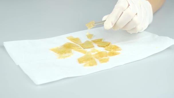 Wetenschappelijke Studie Van Cannabisterpenen Pure Thc Wax Hand Hoge Kwaliteit — Stockvideo