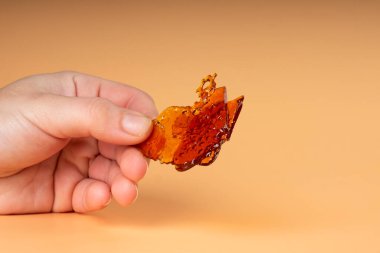 Büyük parça kenevir elinde paramparça, yüksek oranda balmumu..