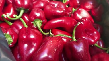 Kırmızı, tatlı biberler. Yakın çekim. Yüksek kalite 4k görüntü