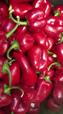 Çok güzel kırmızı biberler. Yüksek kalite 4k görüntü