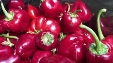 Konserve için kırmızı küçük tatlı biber. Yüksek kalite 4k görüntü