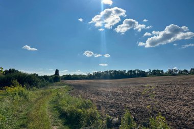Doğanın ve mavi gökyüzünün arkaplanına karşı sürülen bir tarla.