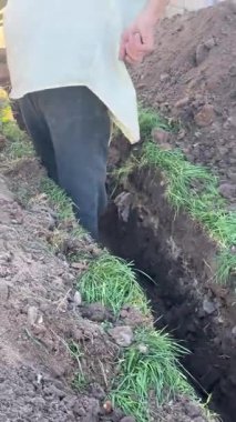 a worker will dig a trench in the ground to the sewer. High quality 4k footage