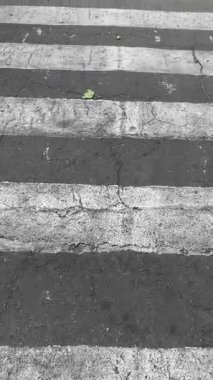 first person view of a pedestrian crossing. High quality 4k footage