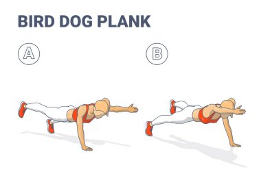 Genç bir kadın Bird Dog Plank egzersiz rehberini yapıyor, tahta bir pozisyonda dengede duruyor, sağ kolunu ve sol bacağını uzatıyor. Çekirdek istikrarı, gücü ve uygunluğu üzerine odaklanır.