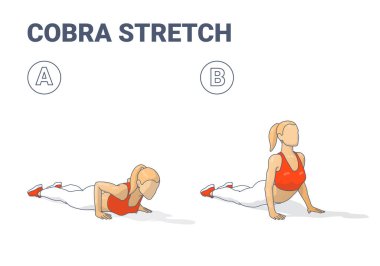 Kobra esneme egzersizini iki aşamada yapan bir kadının dijital çizimi. Görüntü, fitness rehberleri, yoga dersleri ve esneme bilgileri için doğru hareketi gösterir..