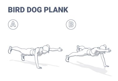Kuş Köpek Plank Adım Adım Egzersiz Rehberi Siyah ve Beyaz Çizim