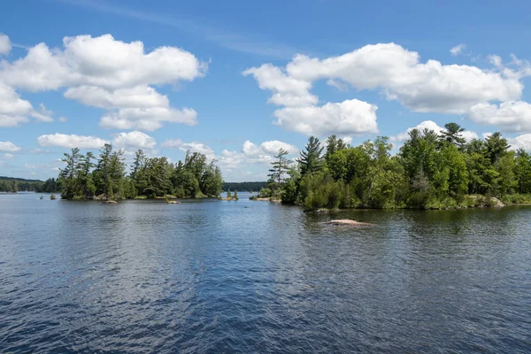 stock image windswept pines and islands on a lake on the Trent-Severn Waterway