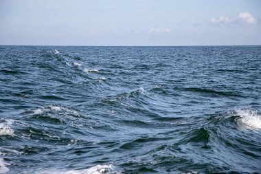 ocean waves and the horizon background