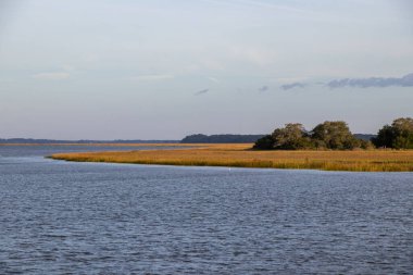 View of marsh in the South Carolina Lowcountry