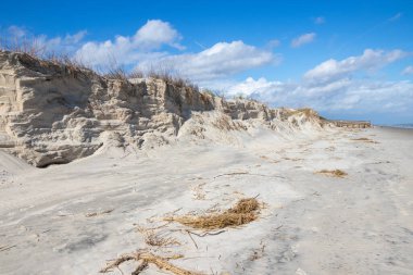 Sand dunes on the coast at Jekyll Island State Park in Georgia