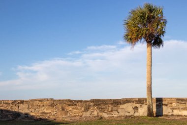 Palm tree beside a stone defence wall with blue sky and clouds in the background