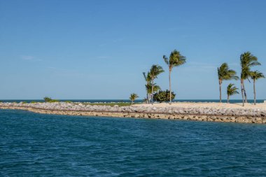 Palm trees on the breakwall at the entrance to Old Bahamas Bay at West End on Grand Bahama Island