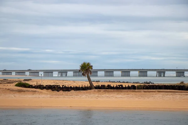 Coastal highway, sand bar and palm tree viewed from the Matanzas River on the Intracoastal Waterway in Florida on the Atlantic Coast