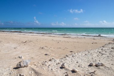 an empty sandy beach in the Bahamas