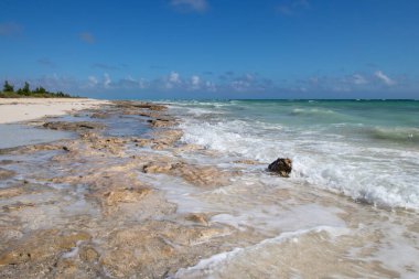 rocky shore on a tropcial beach on Grand Bahama Island