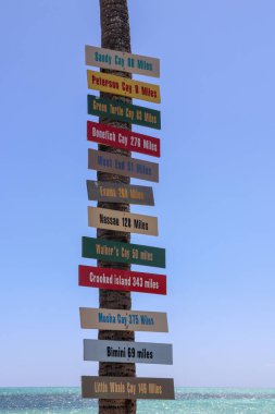 Büyük Bahama Adası 'ndaki bir sahilde, uzak mesafeli bir ağaçtaki işaretler.