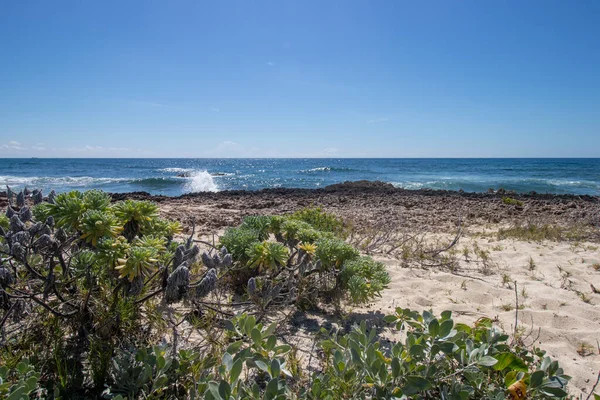 stock image View of the Atlantic Ocean from the coral shore at Little Harbour in the Bahamas