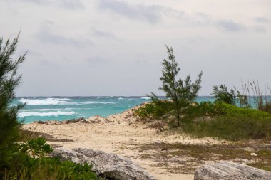 Plajdan tropikal mavi okyanus dalgalarının görüntüsü