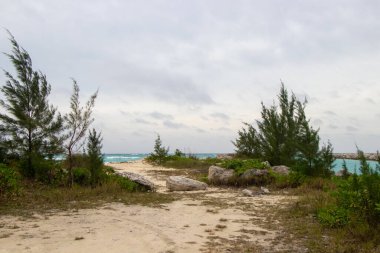 Plajdan tropikal mavi okyanus manzarası