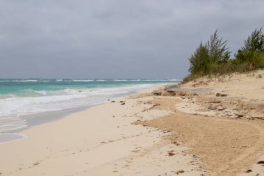 Bahamalar 'da rüzgarlı bir günde dalgalar