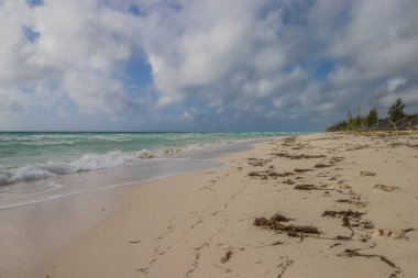 Bahamalar 'da ıssız bir sahilde dalgalar kopuyor.